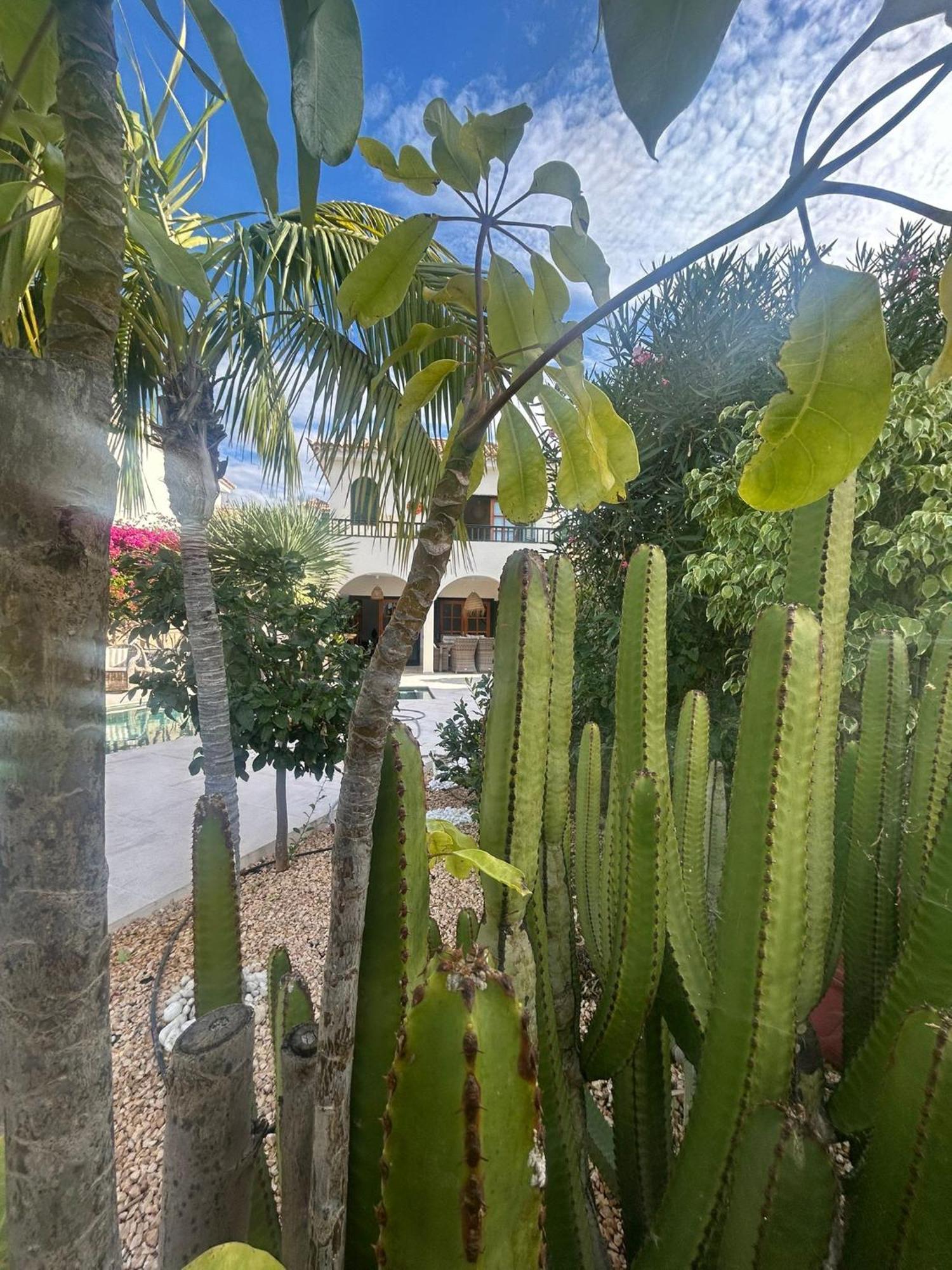 Villa Ibiza - Beautiful House With Private Pool Chayofa Luaran gambar