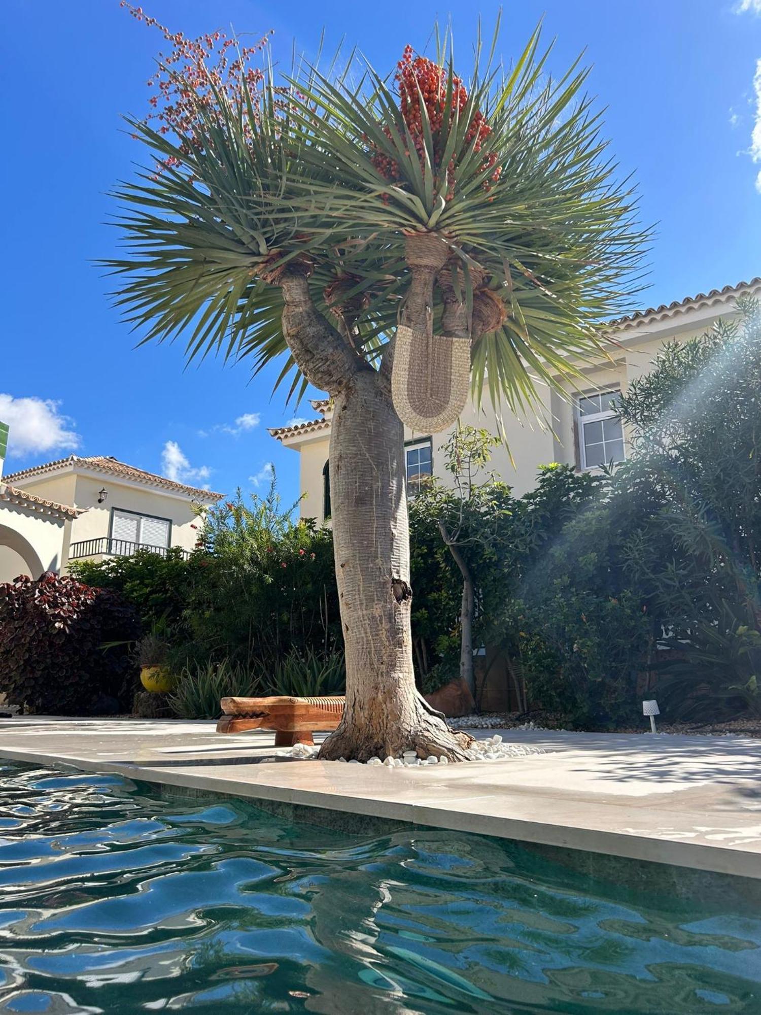 Villa Ibiza - Beautiful House With Private Pool Chayofa Luaran gambar