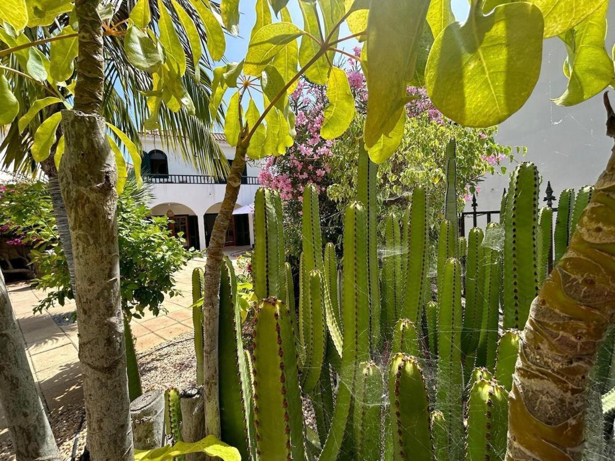 Villa Ibiza - Beautiful House With Private Pool Chayofa Luaran gambar